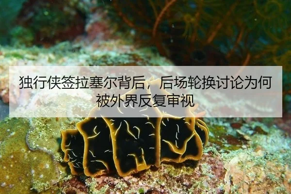 独行侠签拉塞尔背后，后场轮换讨论为何被外界反复审视